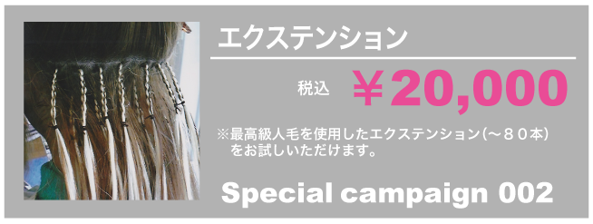 エクステクーポン